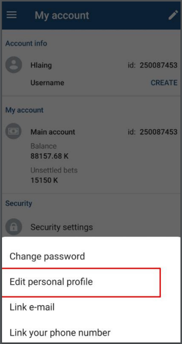 1xbet personal profile4